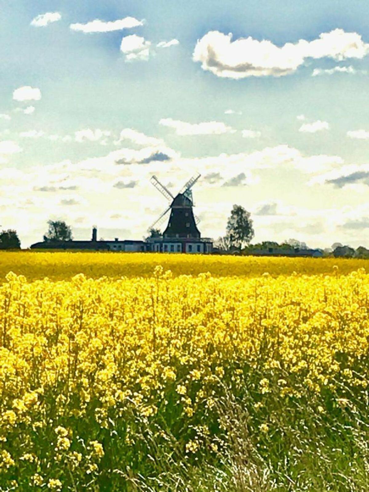 Ferienwohnung Uta Grundshagen Luaran gambar